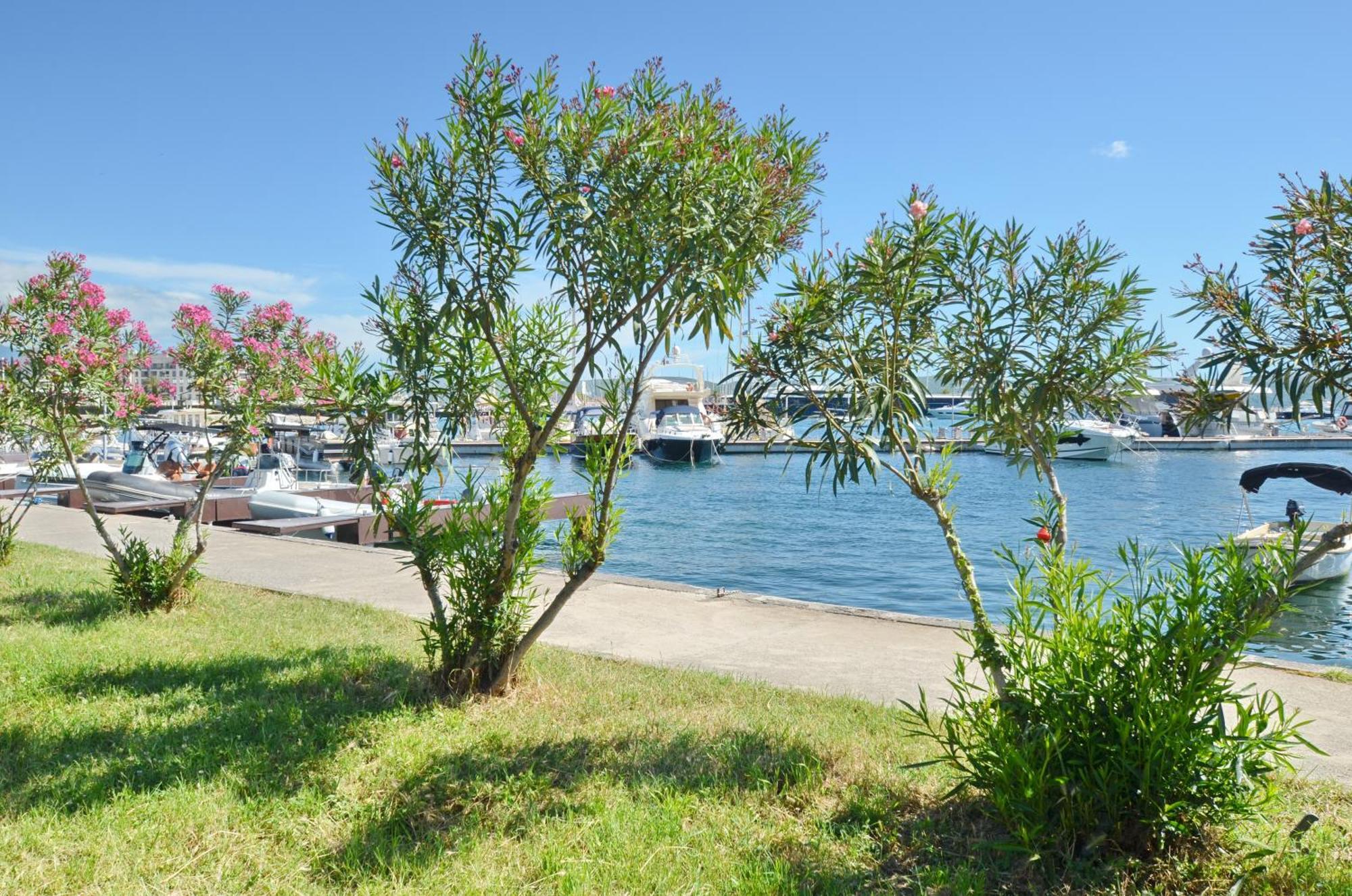 Trojanovic Apartments Tivat Dış mekan fotoğraf